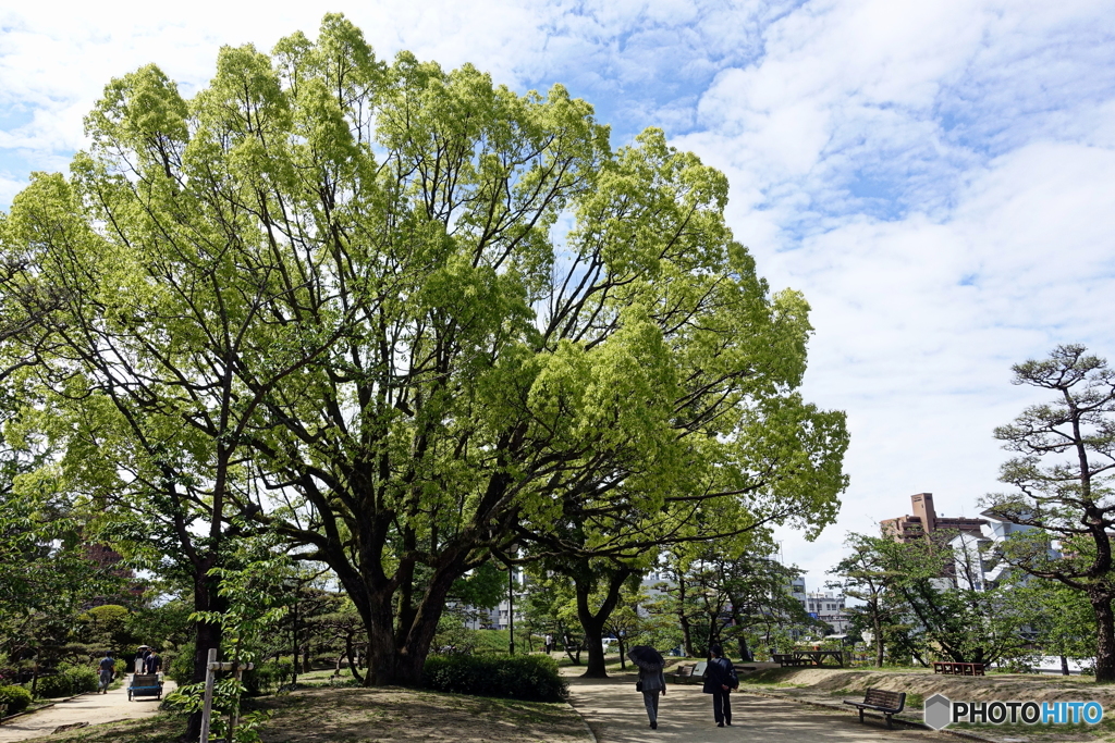 伊予の歴史・文化を伝える道後公園　湯築城跡