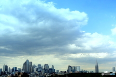 今日はいいお天気でしたが、よく見ると・・・