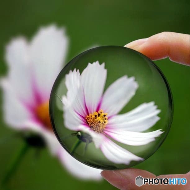 一度やってみたかったこんな写真