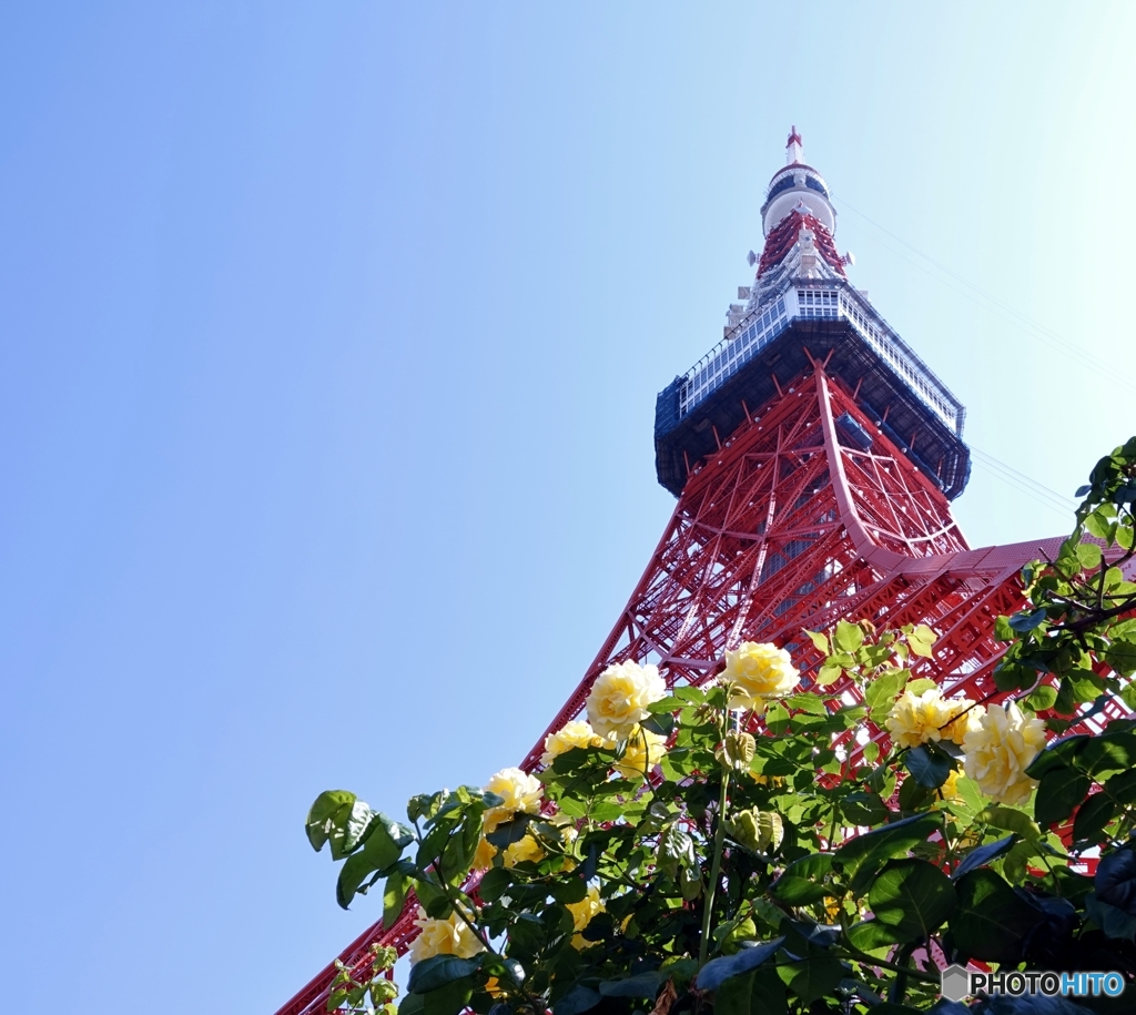 こらからも・・・東京のシンボル