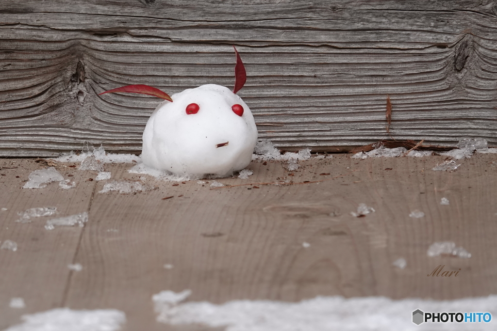 ようこそ、雪国へ ♪