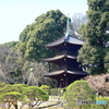 早春の庭園