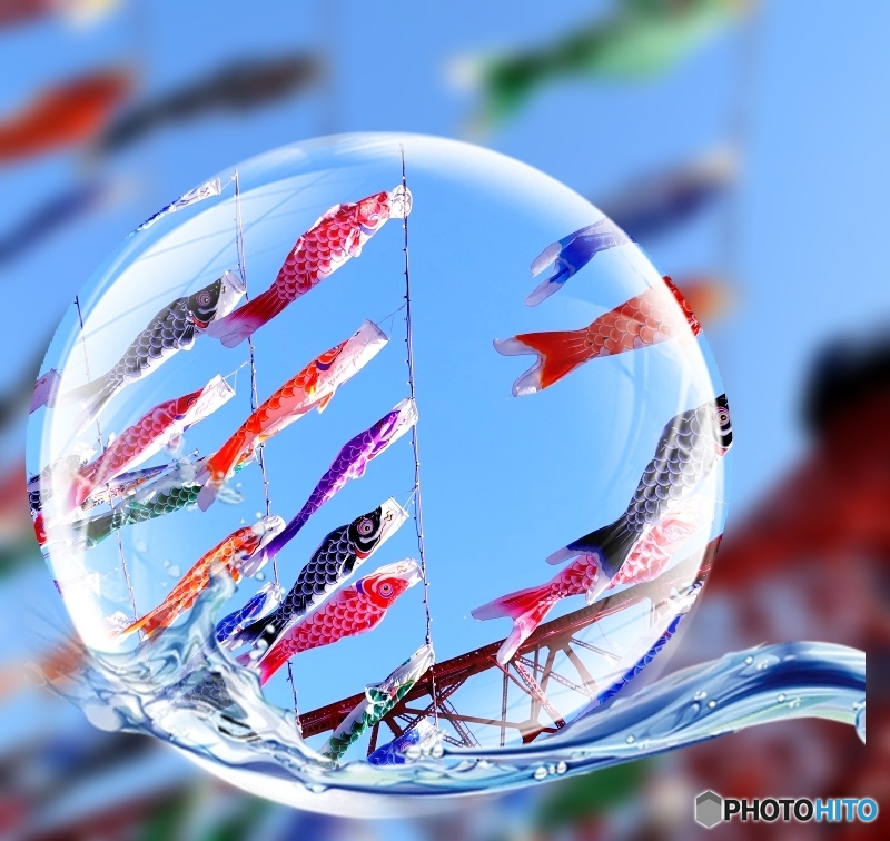鯉のぼり、水を得た魚のようでしょ♪