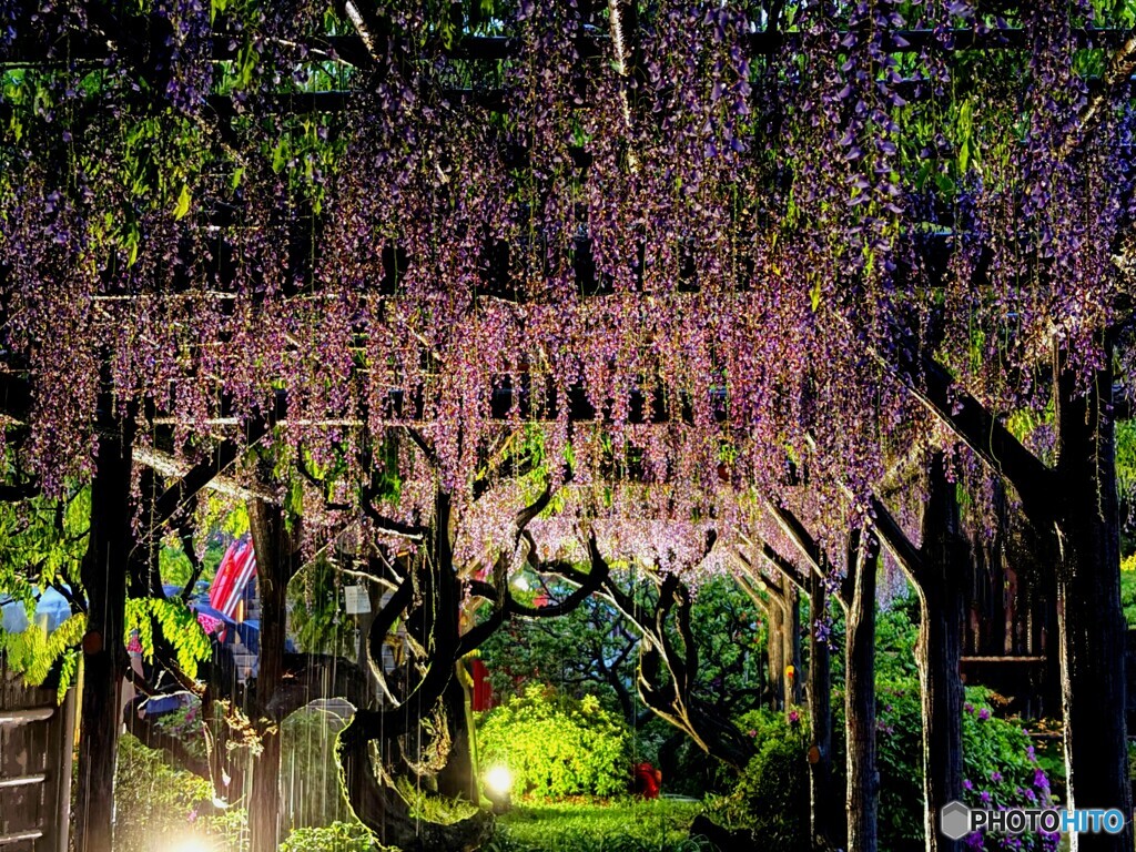 濡れ場