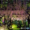 濡れ場