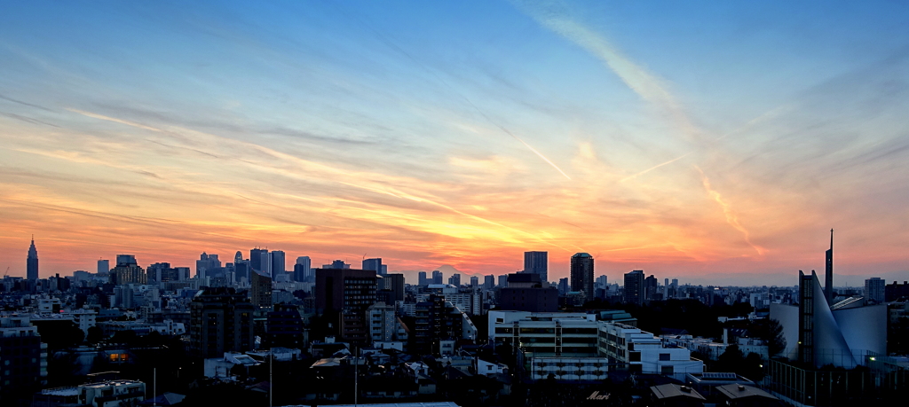 夕飯の支度途中・・・