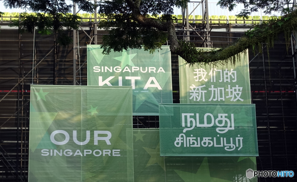 ミックスサラダ VS ほうれん草のお浸し