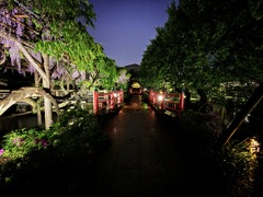 藤色吐息