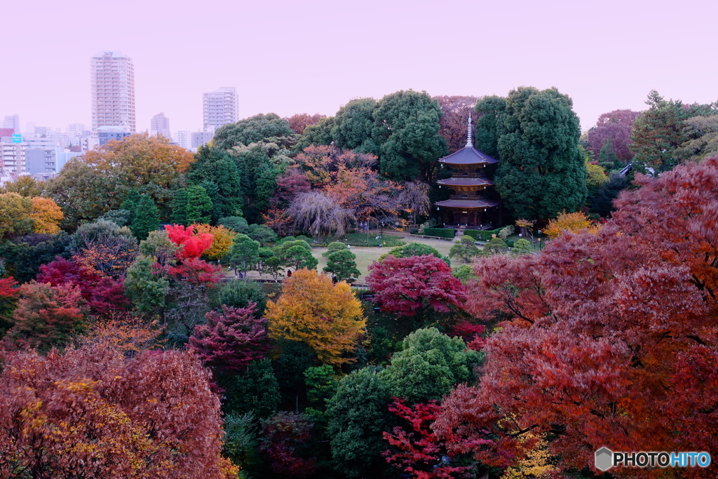 秋景