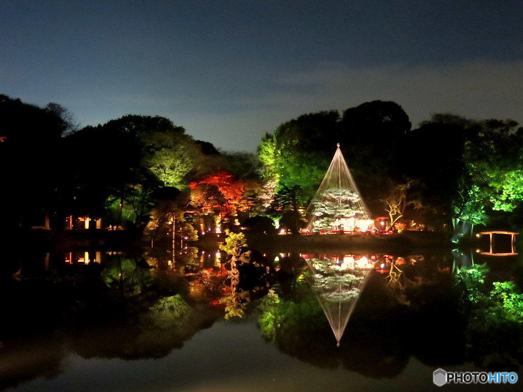 六義園の池 