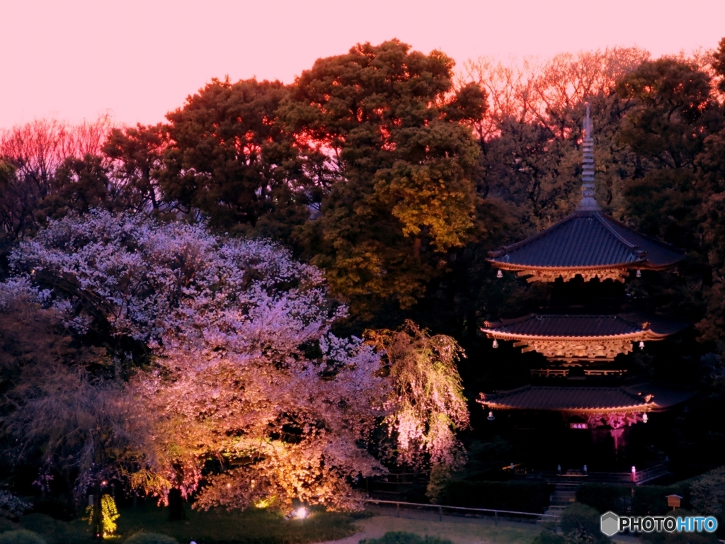 幻想の夕べ