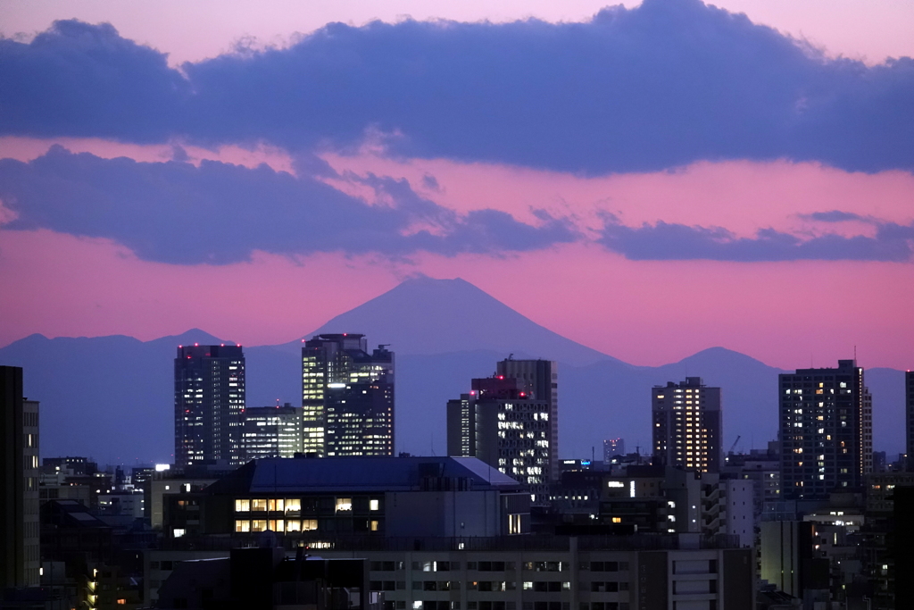 記念日・・・桜色の空