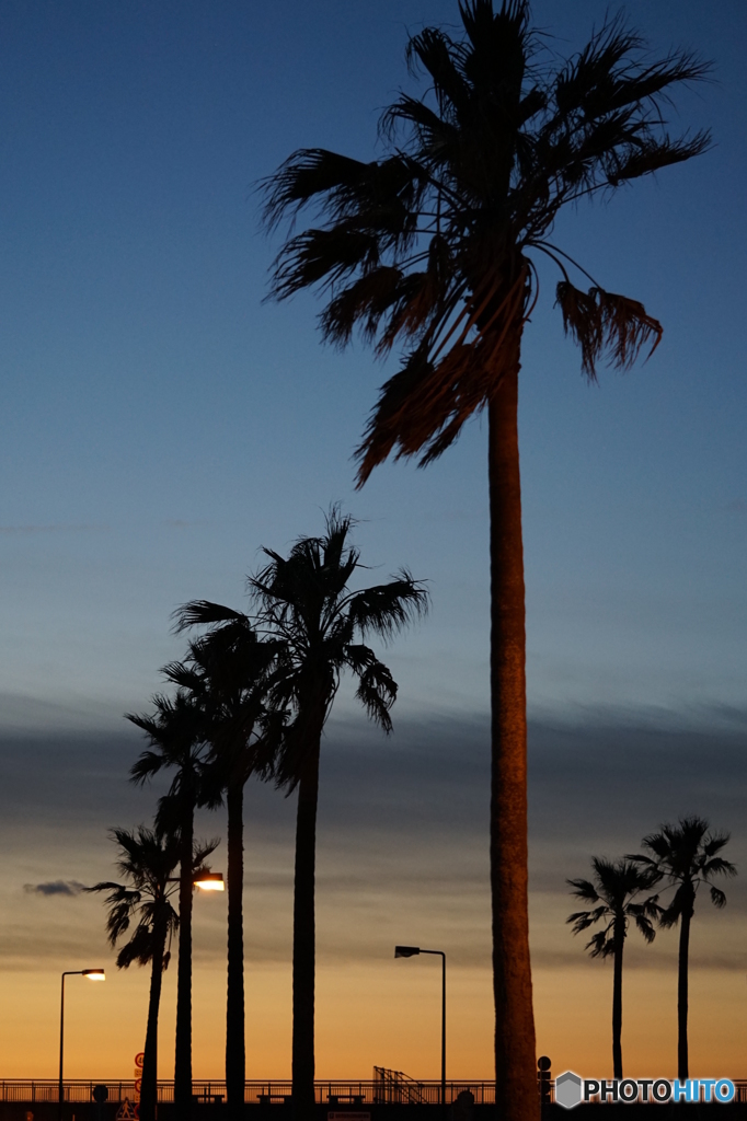 夕景ではなく、夜明け前の撮影です