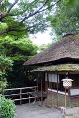 茅葺屋根の茶室