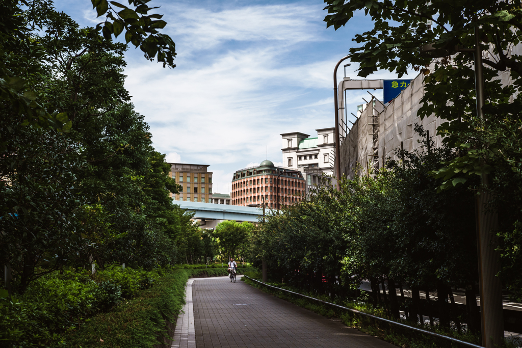 静かな散歩道？