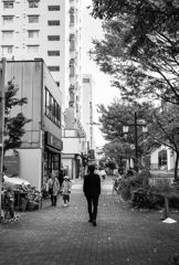 今日はちょっと冷えている