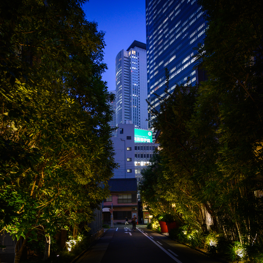 帰り道の夜景