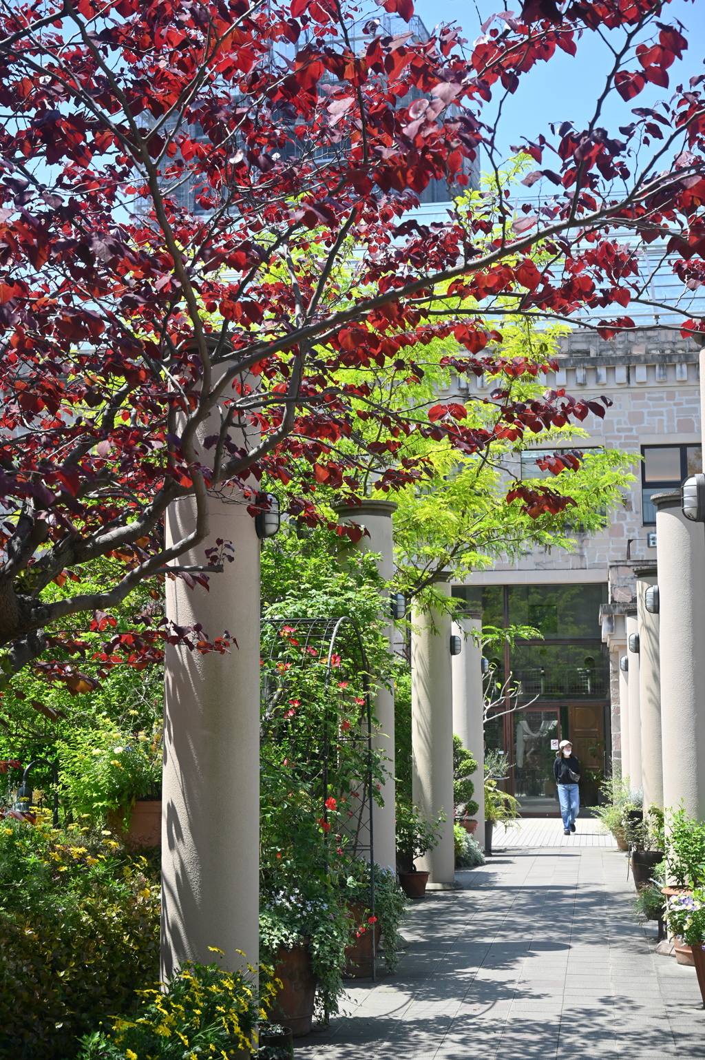 春の花園