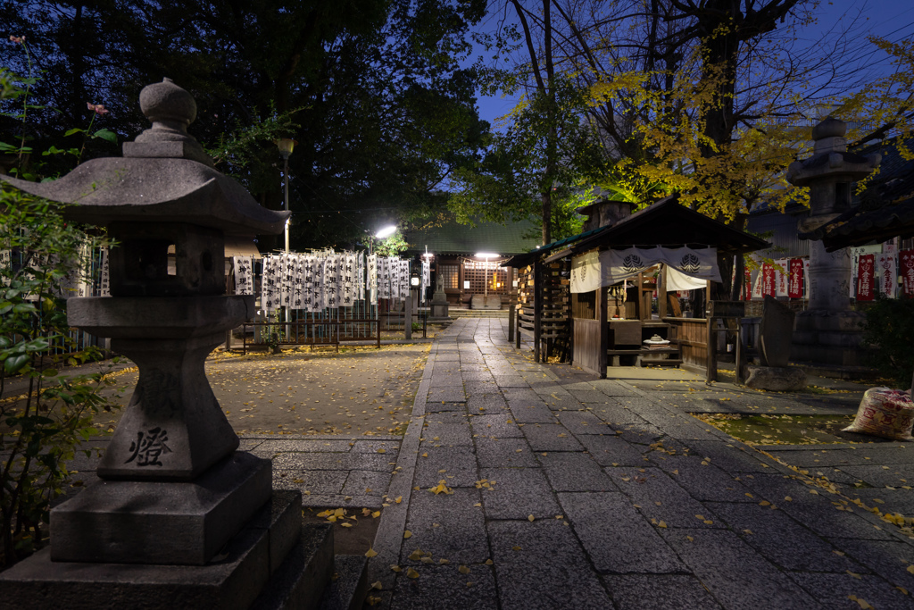 灯りが付いた神社