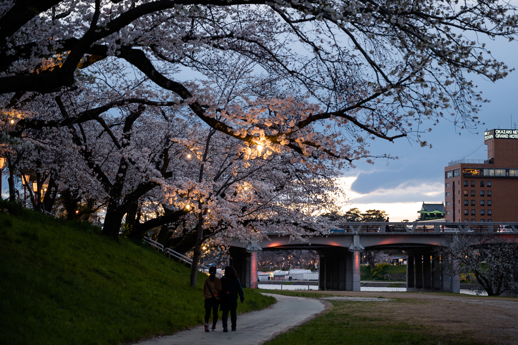 夕暮れ時の散歩