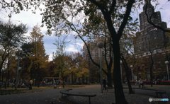 秋のワシントン広場 NY