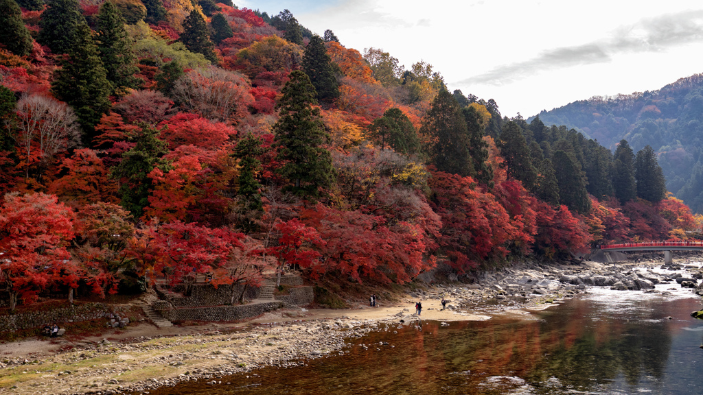 紅葉の山