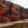 紅葉の山