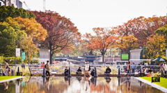 公園の紅葉