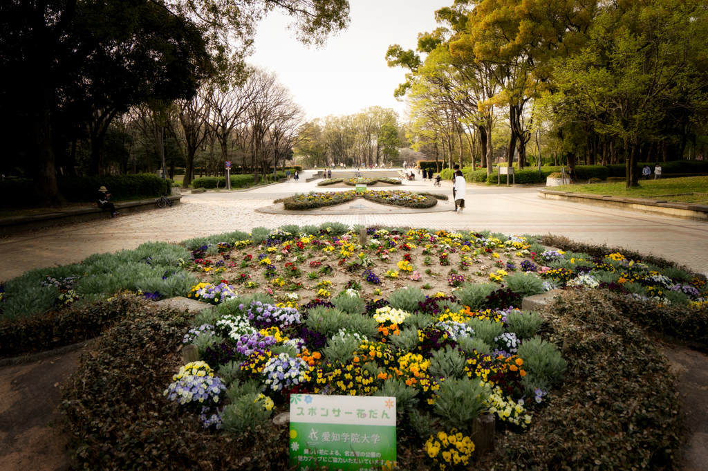 公園の花壇