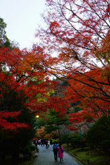 嵐山公園