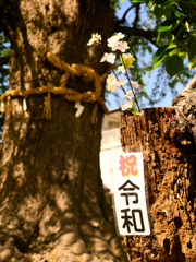 祝　令和