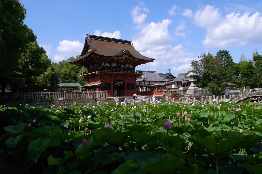 晴れた日に