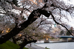 夕暮れ時の散歩