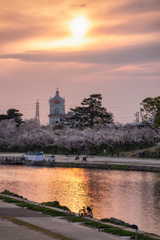 春の夕景