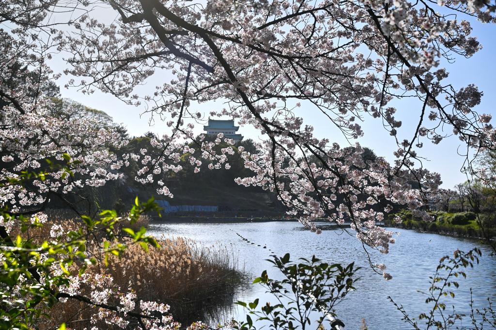 春の城