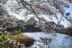 春の城