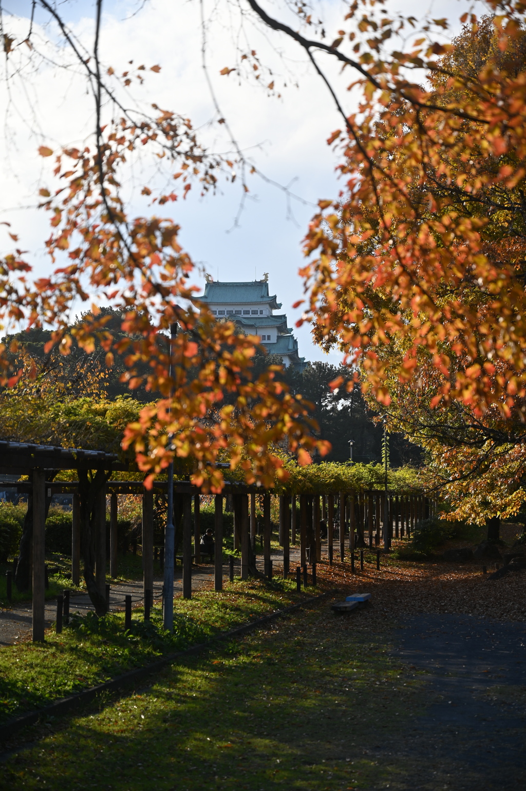 名古屋城遠景