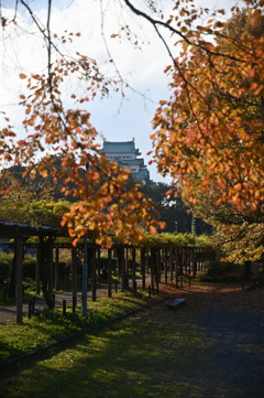 名古屋城遠景