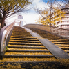 階段の黄葉