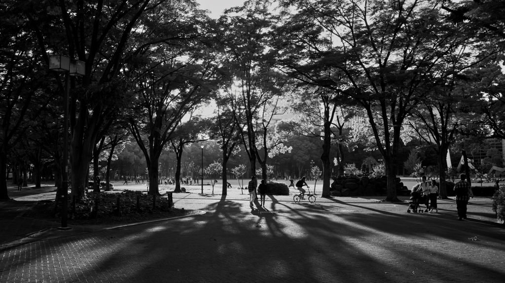 夕暮れの公園