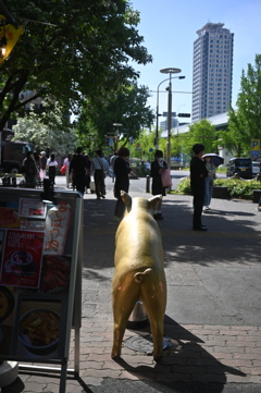 待ち構える