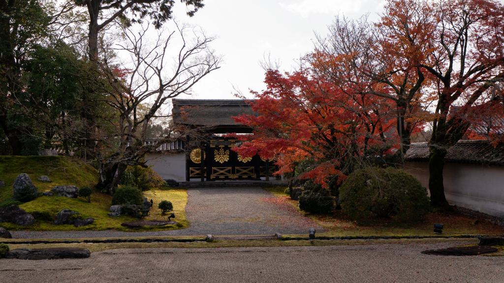 唐門のある風景