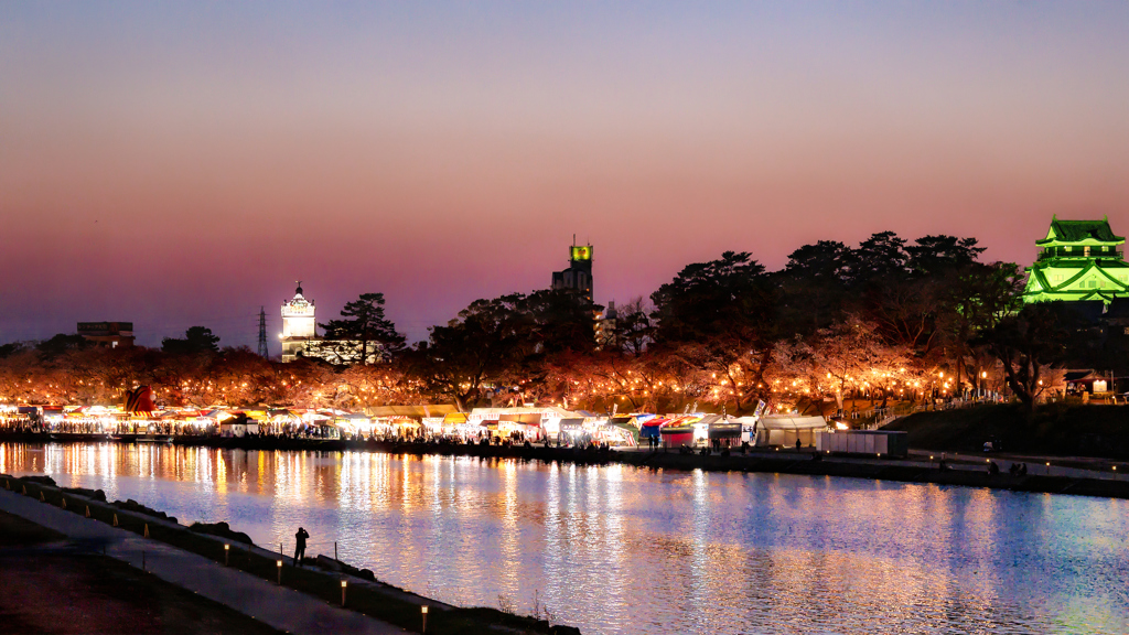 桜祭り夕景