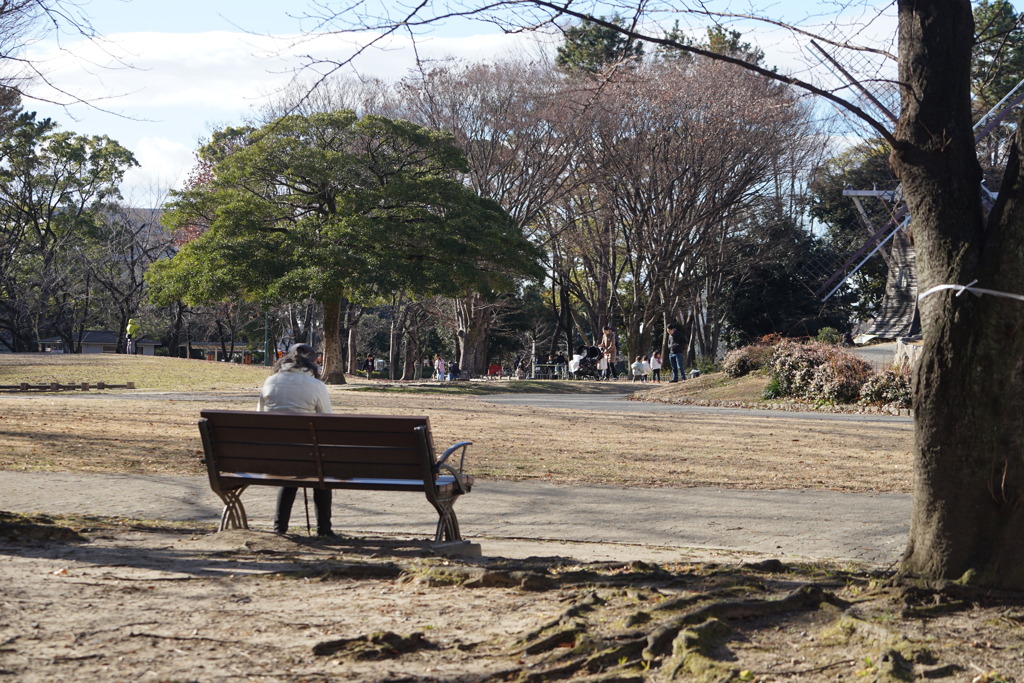 陽の当たるベンチで