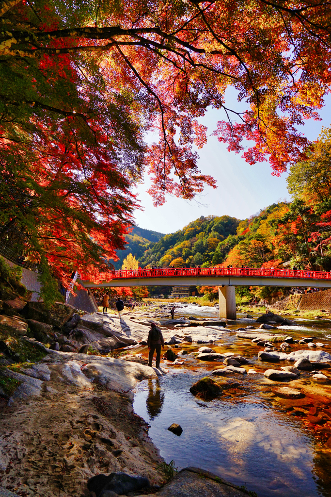 紅葉は見ごろ