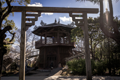 見慣れぬ形