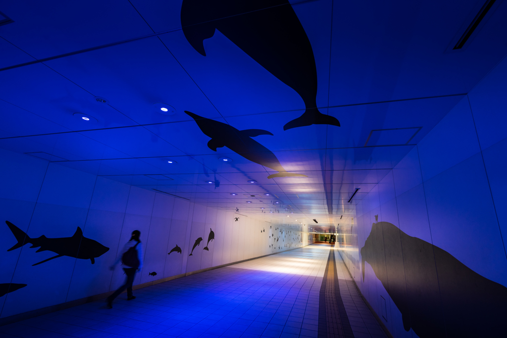 水族館の雰囲気