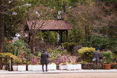 冬の花園