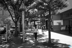 木陰を歩く