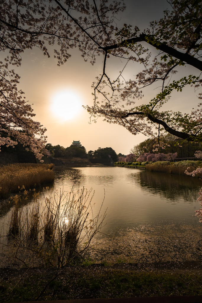 公園の黄昏